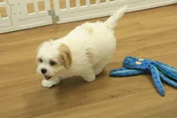 processed/478e0625-a61e-4667-8eb8-9f62e754dc14/listing/e77b8ed1-eaba-4e69-91e9-c57f18db1c91/902e4137-779e-447c-bbb7-811b2fbdf32e