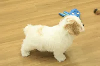 processed/478e0625-a61e-4667-8eb8-9f62e754dc14/listing/e77b8ed1-eaba-4e69-91e9-c57f18db1c91/c7dd0477-6631-4c9b-b6b5-5485b5f2d9d7