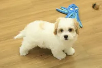 processed/478e0625-a61e-4667-8eb8-9f62e754dc14/listing/e77b8ed1-eaba-4e69-91e9-c57f18db1c91/d9cf58ab-1516-4391-8750-4292dd0c98b2