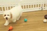 processed/478e0625-a61e-4667-8eb8-9f62e754dc14/listing/ee4d41fd-88ac-4805-bbd9-69dcb341b22d/03d6d579-28d1-4c35-90fe-7180154d564e