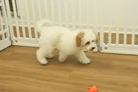 processed/478e0625-a61e-4667-8eb8-9f62e754dc14/listing/ee4d41fd-88ac-4805-bbd9-69dcb341b22d/05162e4f-e8c5-492b-a834-801f082d88be