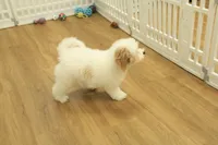 processed/478e0625-a61e-4667-8eb8-9f62e754dc14/listing/ee4d41fd-88ac-4805-bbd9-69dcb341b22d/05296da3-11ec-4ee8-9fc6-42dcccc2d316