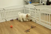 processed/478e0625-a61e-4667-8eb8-9f62e754dc14/listing/ee4d41fd-88ac-4805-bbd9-69dcb341b22d/265ccfd0-087b-4075-b5e6-dc5fc4fa6a9b