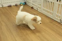 processed/478e0625-a61e-4667-8eb8-9f62e754dc14/listing/ee4d41fd-88ac-4805-bbd9-69dcb341b22d/48fdcc60-e7b1-4241-9b5e-9b10cc9334e7