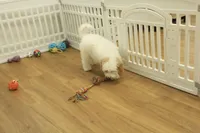 processed/478e0625-a61e-4667-8eb8-9f62e754dc14/listing/ee4d41fd-88ac-4805-bbd9-69dcb341b22d/7b816136-dab3-4ca8-aa98-db2689c08e41