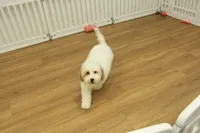 processed/478e0625-a61e-4667-8eb8-9f62e754dc14/listing/ee4d41fd-88ac-4805-bbd9-69dcb341b22d/e9e92211-3701-415c-835a-1491f9d5eff6