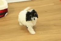 processed/478e0625-a61e-4667-8eb8-9f62e754dc14/listing/f0427e4f-a583-4606-8a03-549a0c956a01/2b900330-d008-4473-b288-1ada3d505bf5