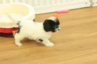 processed/478e0625-a61e-4667-8eb8-9f62e754dc14/listing/f0427e4f-a583-4606-8a03-549a0c956a01/7b57f036-71c0-4bb8-bc1a-3e235e181e45