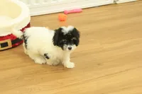 processed/478e0625-a61e-4667-8eb8-9f62e754dc14/listing/f0427e4f-a583-4606-8a03-549a0c956a01/b72366cc-c147-41e1-bb60-71fda21f32fa