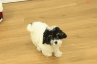 processed/478e0625-a61e-4667-8eb8-9f62e754dc14/listing/f0427e4f-a583-4606-8a03-549a0c956a01/e2e1382e-ad3d-4fd1-aa55-bffc7066f8e4