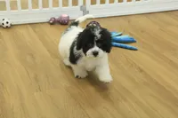 processed/478e0625-a61e-4667-8eb8-9f62e754dc14/listing/f1018957-a35b-4410-b8c7-81463bb13a24/126ac501-d991-4310-a12e-e5126ce3f4ab