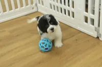 processed/478e0625-a61e-4667-8eb8-9f62e754dc14/listing/f1018957-a35b-4410-b8c7-81463bb13a24/1a5da34a-b18e-4674-b7a0-580b12093ba5