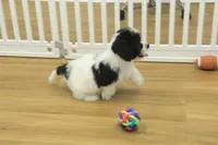 processed/478e0625-a61e-4667-8eb8-9f62e754dc14/listing/f1018957-a35b-4410-b8c7-81463bb13a24/1f25add0-12db-4053-a0e1-752654edb50f