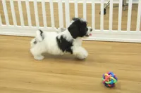 processed/478e0625-a61e-4667-8eb8-9f62e754dc14/listing/f1018957-a35b-4410-b8c7-81463bb13a24/4a043371-5ee2-430e-897f-0db8739bdae3