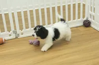 processed/478e0625-a61e-4667-8eb8-9f62e754dc14/listing/f1018957-a35b-4410-b8c7-81463bb13a24/58e6ec48-961a-488d-bf1e-be1dedce6644