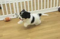 processed/478e0625-a61e-4667-8eb8-9f62e754dc14/listing/f1018957-a35b-4410-b8c7-81463bb13a24/6b764ff3-7b18-49e6-9ac0-211368ca3fe2