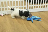 processed/478e0625-a61e-4667-8eb8-9f62e754dc14/listing/f1018957-a35b-4410-b8c7-81463bb13a24/b755a469-e4f8-4eed-a07c-d5555f8f5719