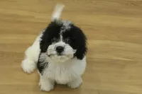 processed/478e0625-a61e-4667-8eb8-9f62e754dc14/listing/f1018957-a35b-4410-b8c7-81463bb13a24/d41a95ee-b776-43f5-95c0-9b9022aaf1e0