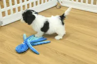 processed/478e0625-a61e-4667-8eb8-9f62e754dc14/listing/f1018957-a35b-4410-b8c7-81463bb13a24/d958a8bd-afab-4632-82b3-d798677b42a1