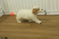 processed/478e0625-a61e-4667-8eb8-9f62e754dc14/listing/fae6e378-9e3d-463f-9f9b-0a1e02cb896f/483daed0-edb8-4f24-89f0-9020ae4c1d3c