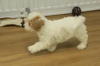 processed/478e0625-a61e-4667-8eb8-9f62e754dc14/listing/fae6e378-9e3d-463f-9f9b-0a1e02cb896f/84cd9ad2-4db5-474f-a237-05d34e0f56ed