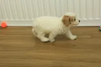 processed/478e0625-a61e-4667-8eb8-9f62e754dc14/listing/fae6e378-9e3d-463f-9f9b-0a1e02cb896f/b84840fe-eef8-4e95-a28b-82b785724ba1