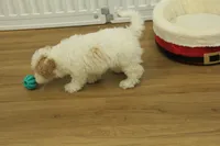 processed/478e0625-a61e-4667-8eb8-9f62e754dc14/listing/fae6e378-9e3d-463f-9f9b-0a1e02cb896f/e63195b3-c820-4cb8-8f19-827266066242