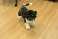 processed/478e0625-a61e-4667-8eb8-9f62e754dc14/listing/ff5e0ff3-5c43-4739-bdf8-6acda4294f7f/196e3f86-b17f-4024-ac42-7aed985bbeb2