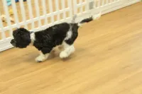 processed/478e0625-a61e-4667-8eb8-9f62e754dc14/listing/ff5e0ff3-5c43-4739-bdf8-6acda4294f7f/1c8eda81-fae4-4f9b-be19-51579cdcbc80