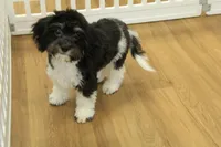 processed/478e0625-a61e-4667-8eb8-9f62e754dc14/listing/ff5e0ff3-5c43-4739-bdf8-6acda4294f7f/83932932-9bd6-47be-a024-55ad96059376