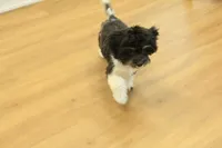 processed/478e0625-a61e-4667-8eb8-9f62e754dc14/listing/ff5e0ff3-5c43-4739-bdf8-6acda4294f7f/a2872b84-cf4b-4b07-92d0-89e6c845f5d2