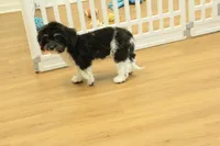 processed/478e0625-a61e-4667-8eb8-9f62e754dc14/listing/ff5e0ff3-5c43-4739-bdf8-6acda4294f7f/daeca4b5-da56-4a89-85b3-5af44c621748