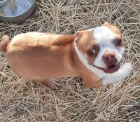 processed/478f6bcd-ba51-4d1a-b6e0-ecd0d0a06a89/listing/00a4faca-bb71-4311-9342-d975b9db7b63/092520d5-7d2a-48fd-8818-dac0ce891c1e