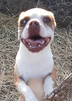 processed/478f6bcd-ba51-4d1a-b6e0-ecd0d0a06a89/listing/00a4faca-bb71-4311-9342-d975b9db7b63/89b0a4b4-f313-47b6-bcbb-1c71de4b5b93