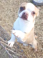 processed/478f6bcd-ba51-4d1a-b6e0-ecd0d0a06a89/listing/00a4faca-bb71-4311-9342-d975b9db7b63/d9501c76-0546-48b9-8687-f079d55dbbdd