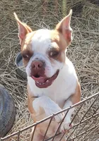 processed/478f6bcd-ba51-4d1a-b6e0-ecd0d0a06a89/listing/00a4faca-bb71-4311-9342-d975b9db7b63/f081bde3-dc2d-402d-8198-e64c160512ad