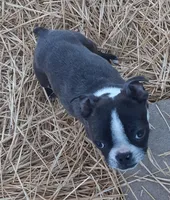 processed/478f6bcd-ba51-4d1a-b6e0-ecd0d0a06a89/listing/336308ab-68ef-495c-9d9f-0c815e67c5d2/95f49ff6-acfd-4c3e-967b-d426310ceed0