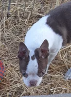 processed/478f6bcd-ba51-4d1a-b6e0-ecd0d0a06a89/listing/9a42e0fe-348d-411a-ba53-9c6b0b8106d4/09588107-f839-4a2a-8285-b4759ceff139