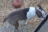 processed/478f6bcd-ba51-4d1a-b6e0-ecd0d0a06a89/listing/9a42e0fe-348d-411a-ba53-9c6b0b8106d4/3235b159-40c5-4cff-94a7-65a6b9e3c622