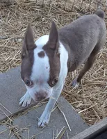 processed/478f6bcd-ba51-4d1a-b6e0-ecd0d0a06a89/listing/9a42e0fe-348d-411a-ba53-9c6b0b8106d4/9421af06-fd41-4593-8e0e-49bc63bcb419