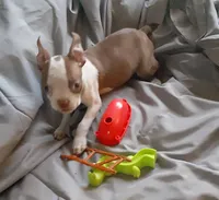 processed/478f6bcd-ba51-4d1a-b6e0-ecd0d0a06a89/listing/9a42e0fe-348d-411a-ba53-9c6b0b8106d4/98b45996-ca55-4a96-8bc2-93fd688084ef