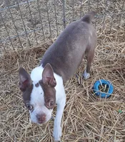 processed/478f6bcd-ba51-4d1a-b6e0-ecd0d0a06a89/listing/9a42e0fe-348d-411a-ba53-9c6b0b8106d4/a553d052-d67a-4a8e-b0f2-3fe4def74b8a