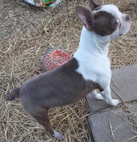 processed/478f6bcd-ba51-4d1a-b6e0-ecd0d0a06a89/listing/9a42e0fe-348d-411a-ba53-9c6b0b8106d4/a817b62f-4f27-440f-b3bd-58be0a15c105