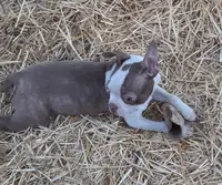 processed/478f6bcd-ba51-4d1a-b6e0-ecd0d0a06a89/listing/9a42e0fe-348d-411a-ba53-9c6b0b8106d4/ff980e03-7b0a-4480-b522-353010c8d433