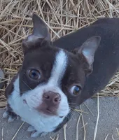 processed/478f6bcd-ba51-4d1a-b6e0-ecd0d0a06a89/listing/d941e760-2232-42db-ba6f-674a551258d3/11918bed-e253-4f46-b3c8-4fafd7434331