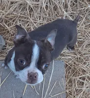 processed/478f6bcd-ba51-4d1a-b6e0-ecd0d0a06a89/listing/d941e760-2232-42db-ba6f-674a551258d3/9bd667a1-e2e1-4ff4-b1eb-abb3934dea3c