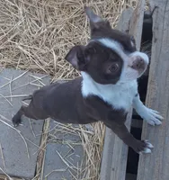 processed/478f6bcd-ba51-4d1a-b6e0-ecd0d0a06a89/listing/d941e760-2232-42db-ba6f-674a551258d3/b038e9fc-b4be-4868-b157-6d2ff35fd351