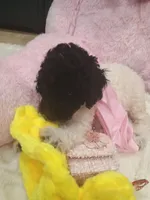 Ruri, a female Goldendoodle for sale in Miami, FL – 7 of 10