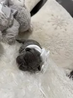 processed/47a5e0bb-6b95-4647-a050-2be6124281a9/listing/481eced9-d903-4ef1-8d8d-841796ce05cb/0742bc62-0983-4586-a202-bd5cd33b8a9e