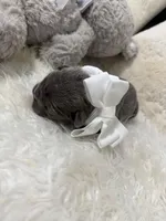 processed/47a5e0bb-6b95-4647-a050-2be6124281a9/listing/481eced9-d903-4ef1-8d8d-841796ce05cb/1de8ef9e-1ae1-476a-8feb-c93b259355ac